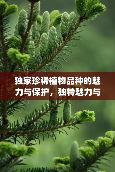 獨家珍稀植物品種的魅力與保護，獨特魅力與院外品種探秘