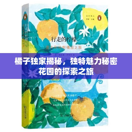 橘子獨(dú)家揭秘，獨(dú)特魅力秘密花園的探索之旅