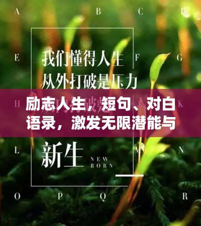 勵志人生，短句、對白語錄，激發(fā)無限潛能與斗志