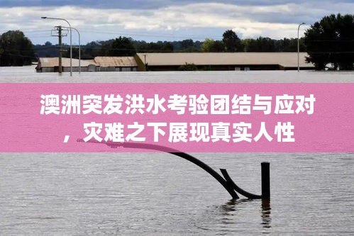 澳洲突發(fā)洪水考驗(yàn)團(tuán)結(jié)與應(yīng)對(duì)，災(zāi)難之下展現(xiàn)真實(shí)人性
