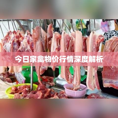 越鳥南棲 第2頁