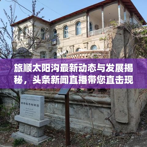 旅順太陽溝最新動態(tài)與發(fā)展揭秘，頭條新聞直播帶您直擊現(xiàn)場
