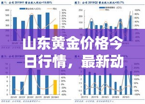 山東黃金價(jià)格今日行情，最新動(dòng)態(tài)、深度分析與查詢(xún)