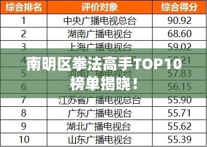 南明區(qū)拳法高手TOP10榜單揭曉！