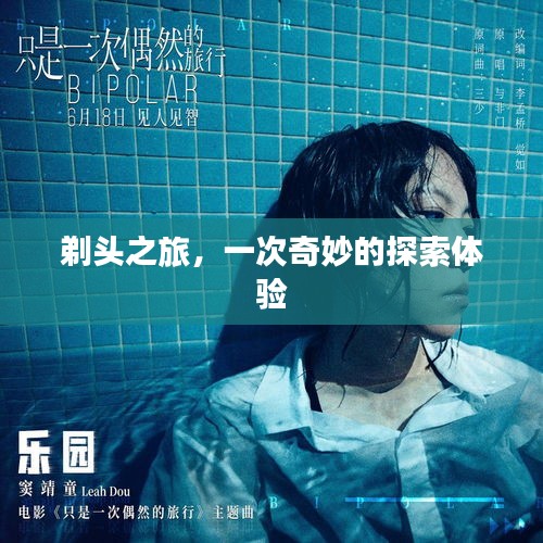剃頭之旅，一次奇妙的探索體驗