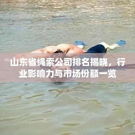 山東省繩索公司排名揭曉，行業(yè)影響力與市場(chǎng)份額一覽
