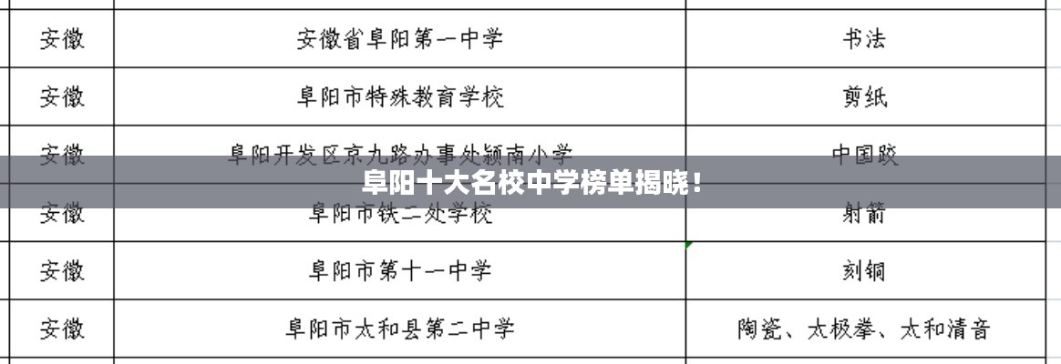阜陽十大名校中學(xué)榜單揭曉！