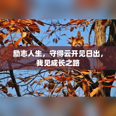 勵(lì)志人生，守得云開見日出，我見成長之路