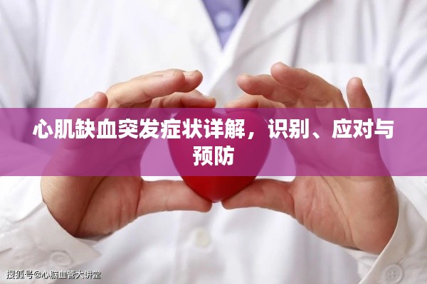 心肌缺血突發(fā)癥狀詳解，識(shí)別、應(yīng)對(duì)與預(yù)防