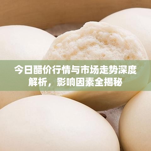 今日醋價行情與市場走勢深度解析，影響因素全揭秘