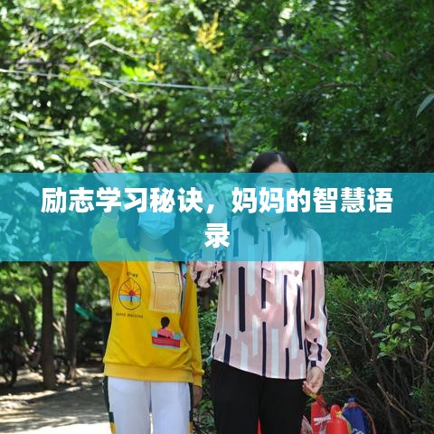 勵志學(xué)習(xí)秘訣，媽媽的智慧語錄
