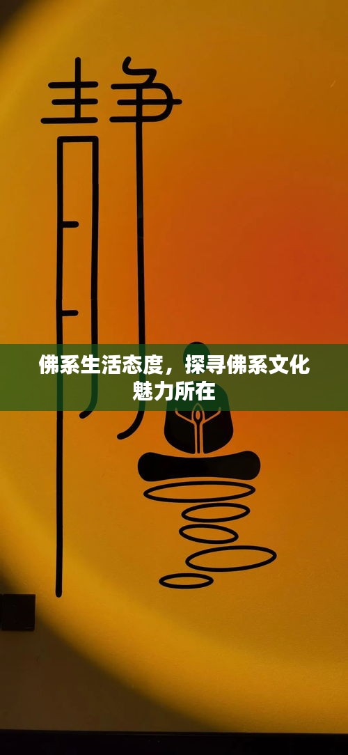 佛系生活態(tài)度，探尋佛系文化魅力所在
