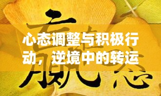 心態(tài)調(diào)整與積極行動，逆境中的轉(zhuǎn)運秘訣！