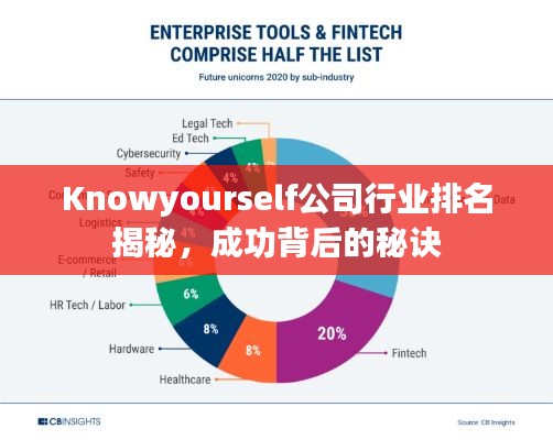 Knowyourself公司行業(yè)排名揭秘，成功背后的秘訣