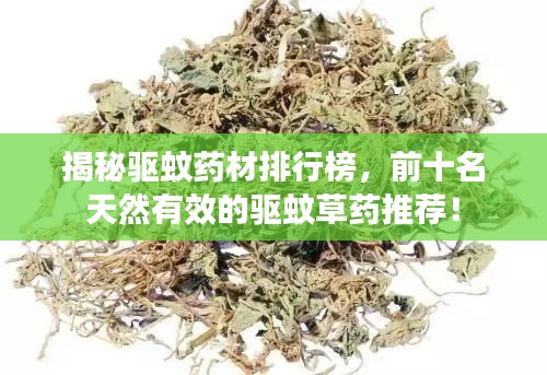 揭秘驅蚊藥材排行榜，前十名天然有效的驅蚊草藥推薦！