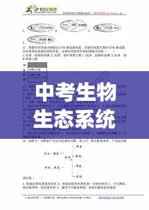 中考生物生態(tài)系統(tǒng)深度解析，專題解讀與知識要點(diǎn)梳理