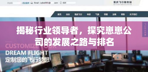 揭秘行業(yè)領(lǐng)導(dǎo)者，探究崽崽公司的發(fā)展之路與排名