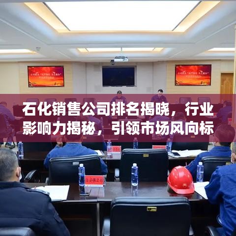 石化銷售公司排名揭曉，行業(yè)影響力揭秘，引領(lǐng)市場風(fēng)向標(biāo)！