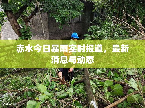 赤水今日暴雨實(shí)時(shí)報(bào)道，最新消息與動(dòng)態(tài)