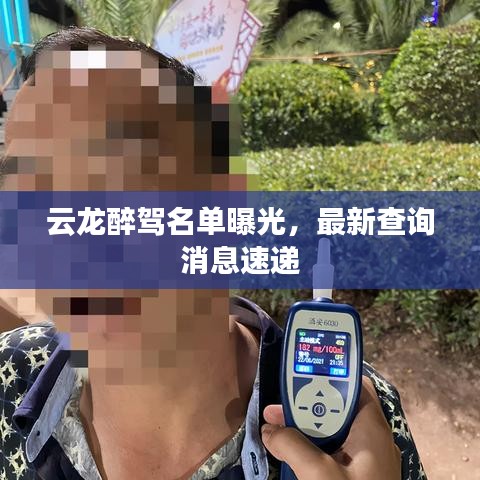 云龍醉駕名單曝光，最新查詢消息速遞