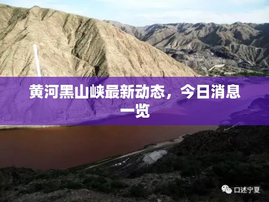 黃河黑山峽最新動(dòng)態(tài)，今日消息一覽