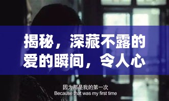 揭秘，深藏不露的愛的瞬間，令人心動(dòng)不已！