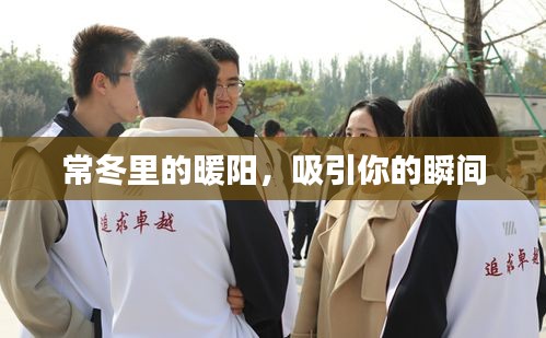 常冬里的暖陽(yáng)，吸引你的瞬間