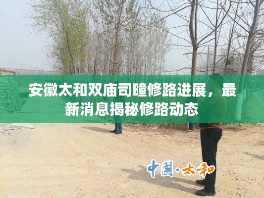 安徽太和雙廟司疃修路進展，最新消息揭秘修路動態(tài)
