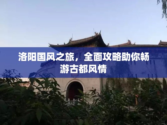 洛陽國風(fēng)之旅，全面攻略助你暢游古都風(fēng)情