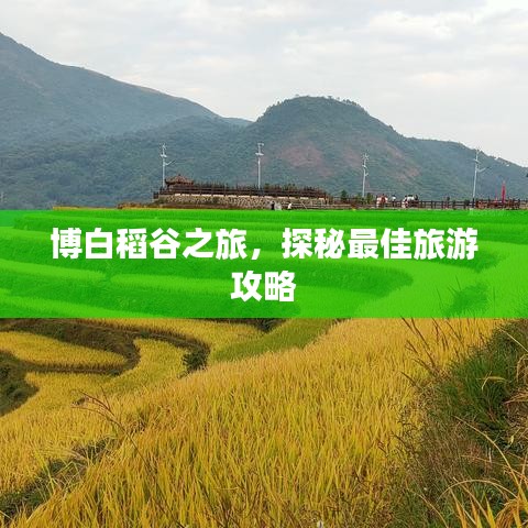 博白稻谷之旅，探秘最佳旅游攻略