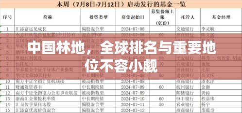 中國林地，全球排名與重要地位不容小覷