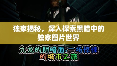 獨家揭秘，深入探索黑暗中的獨家圖片世界