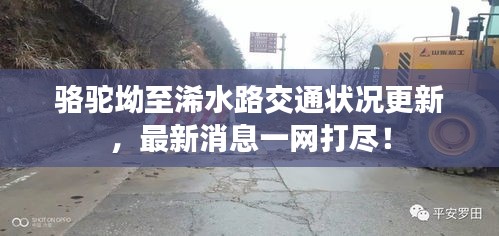 駱駝坳至浠水路交通狀況更新，最新消息一網(wǎng)打盡！
