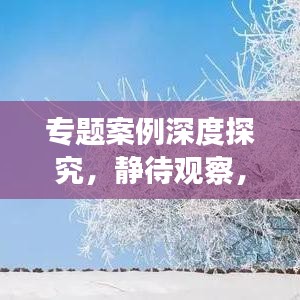 專題案例深度探究，靜待觀察，揭秘未知
