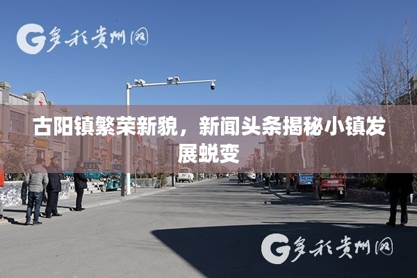 古陽(yáng)鎮(zhèn)繁榮新貌，新聞?lì)^條揭秘小鎮(zhèn)發(fā)展蛻變