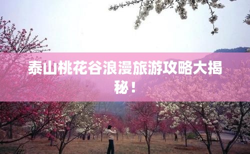 泰山桃花谷浪漫旅游攻略大揭秘！