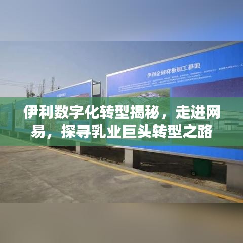 伊利數(shù)字化轉(zhuǎn)型揭秘，走進(jìn)網(wǎng)易，探尋乳業(yè)巨頭轉(zhuǎn)型之路