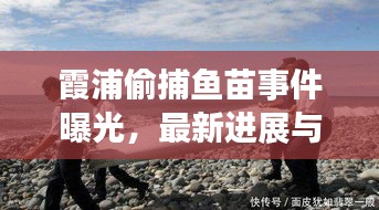 霞浦偷捕魚苗事件曝光，最新進(jìn)展與細(xì)節(jié)揭秘