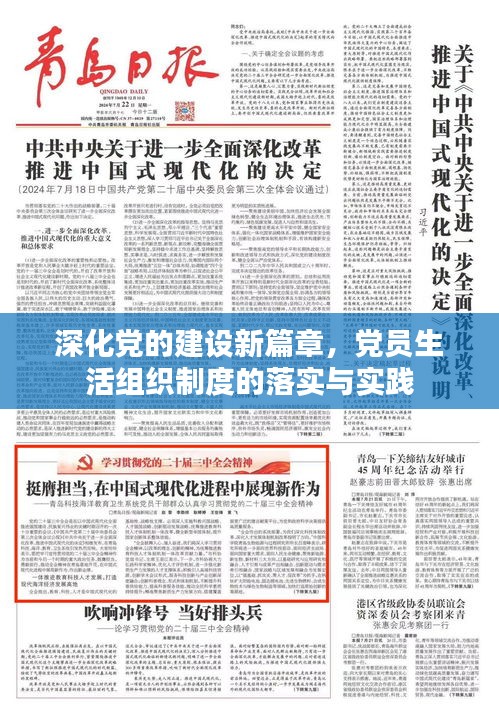 深化黨的建設新篇章，黨員生活組織制度的落實與實踐