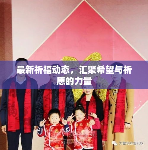 最新祈福動態(tài)，匯聚希望與祈愿的力量