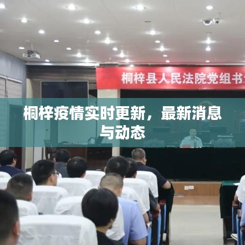 桐梓疫情實時更新，最新消息與動態(tài)