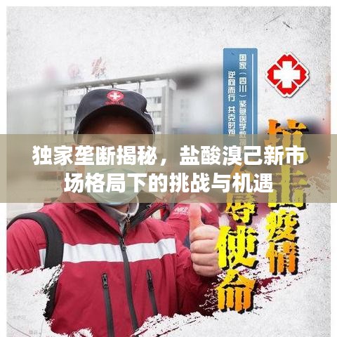 獨家壟斷揭秘，鹽酸溴己新市場格局下的挑戰(zhàn)與機遇