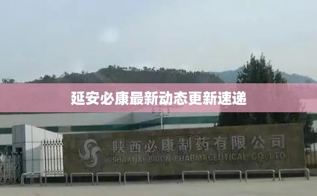 延安必康最新動(dòng)態(tài)更新速遞
