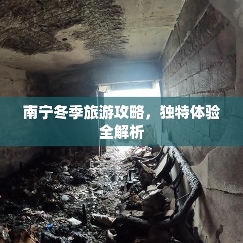南寧冬季旅游攻略，獨(dú)特體驗(yàn)全解析