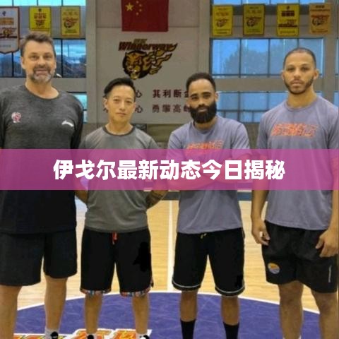 伊戈爾最新動態(tài)今日揭秘