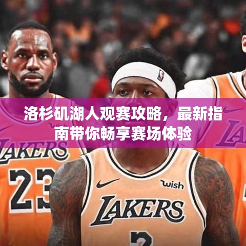 洛杉磯湖人觀賽攻略，最新指南帶你暢享賽場(chǎng)體驗(yàn)