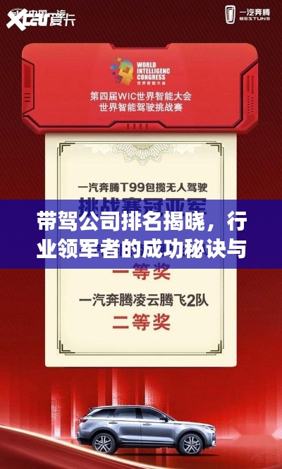帶駕公司排名揭曉，行業(yè)領(lǐng)軍者的成功秘訣與秘密武器