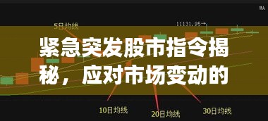 緊急突發(fā)股市指令揭秘，應(yīng)對(duì)市場變動(dòng)的關(guān)鍵策略指南