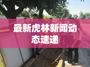 最新虎林新聞動態(tài)速遞