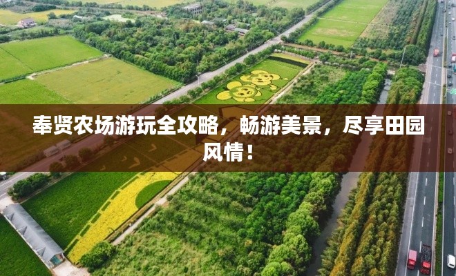 奉賢農(nóng)場游玩全攻略，暢游美景，盡享田園風(fēng)情！